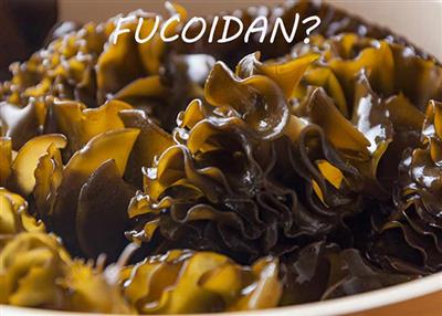 Fucoidan - bí quyết tăng cường miễn dịch, hoạt chất chống ung thư tiềm năng