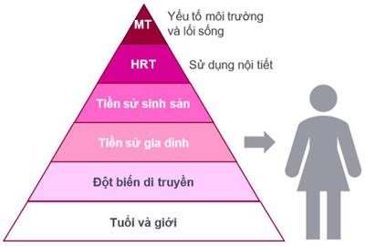 Nguyên nhân và các yếu tố làm tăng nguy cơ mắc ung thư vú?